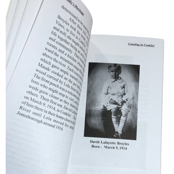 A Familys Heritage Stories From Main Street Jonesborough Tennessee By Dava Lee R - Picture 7 of 7